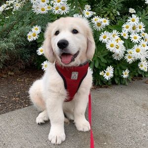 Meet your Posher, Sera